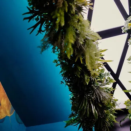 那不勒斯万岁住宿加早餐旅馆 住宿加早餐酒店 3*