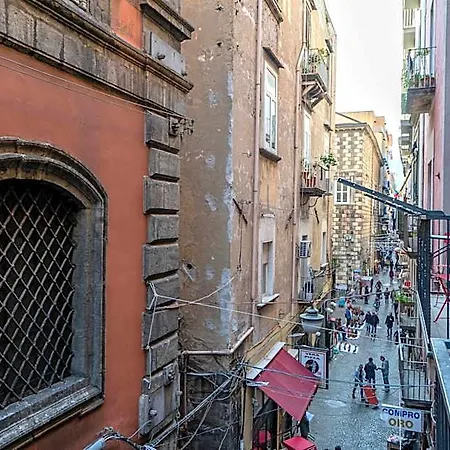 Napoliviva Neapol