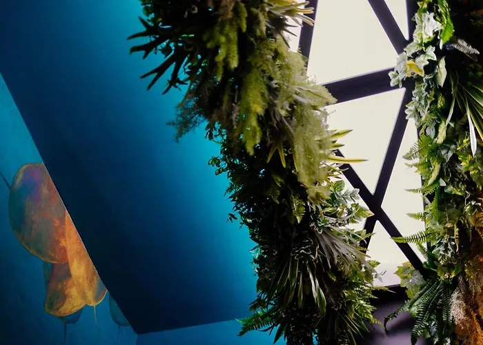 Napoliviva Отель типа 